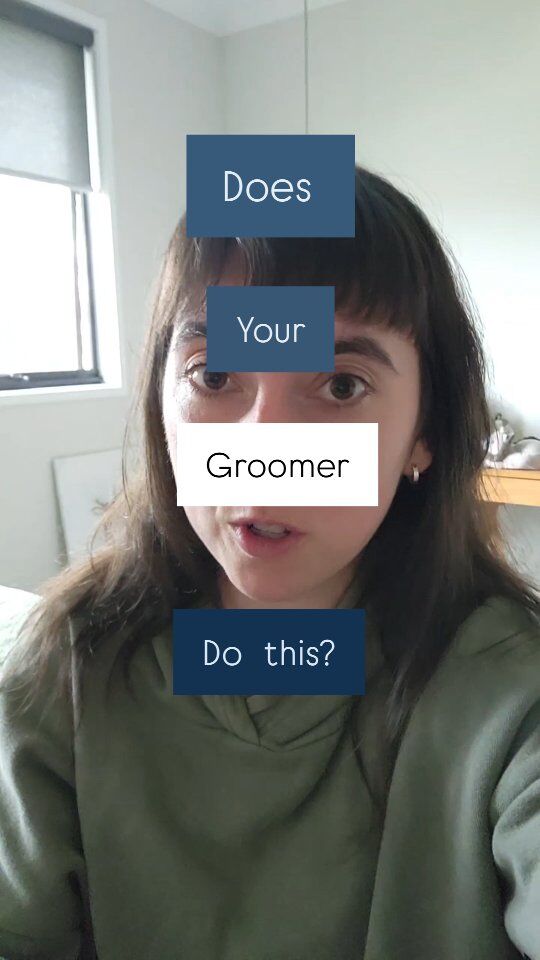In my opinion, these are 3 non-negotiable things your groomer should be doing without you asking...