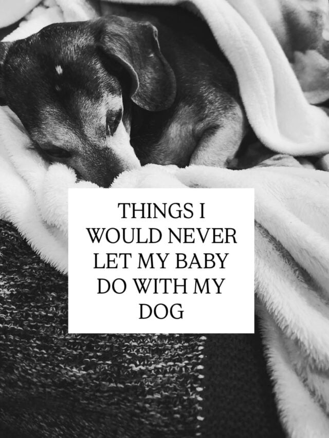 I don't care how cute it is on social media when babies lay on the family dog or chase them around. 

My dog deserves his space and to be respected.

My baby deserves to be kept safe.

He should not be able to climb all over him, grab his tail, get in his food bowl, lay in the dog's bed or play with his toys.

Baby should be taught gentle touch and be supervised at all times...

The magical bond of child and dog is fostered through safe interactions and respect from both parties 💙