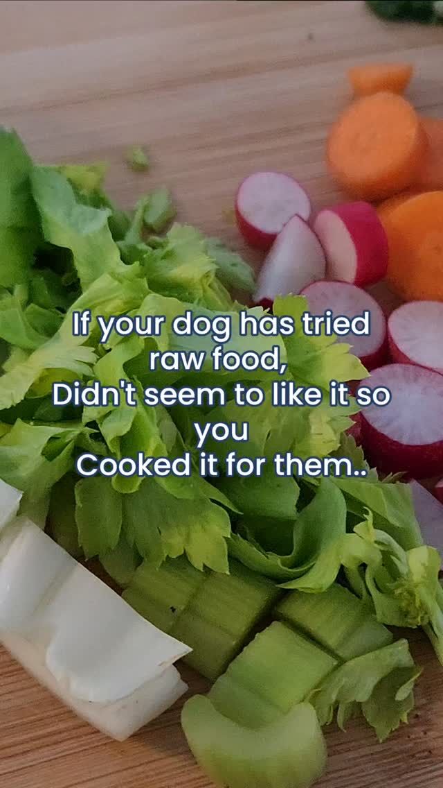 Even a dog that has eaten raw, fresh food their whole life would be tempted by a sizzling steak...🥩

But...

Your dog will get more out of a fresh diet both mentally and physically.