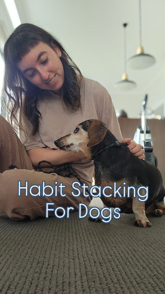 If you're time poor, but still want the best for your dog, try habit stacking!

My dog will be 17yo in a few weeks and he needs a bit of extra care. Since having a baby it has been difficult to care for him in the way i used to.

I use habit stacking as a way to ensure he gets what he needs while I keep my sanity.

1. I make the veggie portion of his food slowly as I buy my own food. That means blending veggies once a week with my own veggie order 
2. I pull out his frozen food in the morning while I make my breakfast.
3. I do his therapeutic exercises whenever I take him to the toilet.
4. I wash his bedding once a week the day I do my bedding.
5. I clean and refill his water bowl in the evening when I set myself up for bed with a water bottle. 

And 50 other things.

The key is to find something you already do, and throw in something you need to do for your dog.

No, it doesn't always work, but consistency is key and I keep trying to make it work.

Have you done this for your dog?