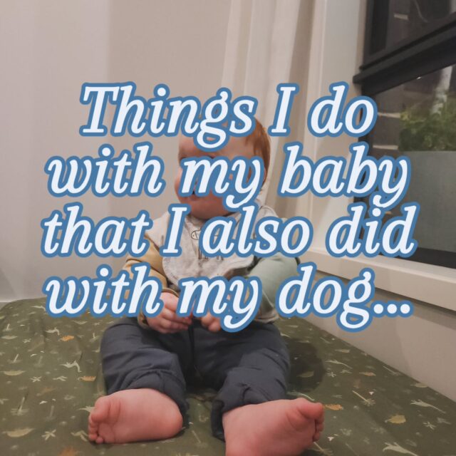 I think the "modern" way of raising babies is mostly wrong 😅
Now, I'm no expert, but I've taken a lot of knowledge from the Animal kingdom and applied it because it made so much sense to me, even though I was told to do things differently. 
Hear me out...

Modern baby foods are all sugar, so are dog foods. And what's one thing both humans and dogs have in common at the moment? Poor health and lots of chronic conditions. 
I bet eating fresh whole foods would help. I mean it wouldn't "not" help 😅

My dog ate fresh whole foods, I try to as much as my sugar addicted brain can, so why shouldn't baby? 

I'm sure it seems so normal to spoon feed a baby, "well they can't do it themselves can they?".
If that's true perhaps baby isn't ready for food? 
And this is purely observation, not medical advice. 
I sat on the floor and ate all my meals with baby. Eventually, he started grabbing, trying, spitting out, trying again, chewing and eating. 
He'd play with a spoon too.
I took this approach from dogs. Mumma brings home the kill, babies eat. That's it.

I see the same level of concern around people feeding their dogs too. Stop making I weird. Don't stand over them. Give them their food (or enrichment toy) and leave them alone. They will eat if they're hungry. If you believe you're feeding them the best you won't be concerned if they do or don't eat. 

We know sun light and fresh air is good for us. When I travelled to Scotland everyone had a "can do" attitude about the weather, since it was often dreary, you got up, went out and got 💩 done. 
Don't wait for the perfect day, they will come too, for now take what you can and make the most of it. 
And for goodness sake, let your dog and baby get dirty!

Early toilet training is not even a weird thing. It's only weird in the western world. 
If my baby could learn to potty without stress, fear and force, why would I not try? 
Thank you to @bimbibums for your potty plane and making me feel less weird. 

There was once a time when it was acceptable to chain a dog up in the back yard and throw them whatever food you could find. Never walk them. Rarely play with them. You'd just simply have them. 
Now we treat them like dolls. To