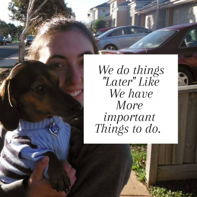 There is nothing more important than looking after your family. 

I regret any time I ever did something else instead of something with my dog.

Im not saying never do anything for yourself.
Im saying stop using bullsh*t excuses to avoid caring for your dog. Your dog is family right?

You're too tired to brush your dog's knotty hair?
Maybe. But that doesn’t mean you shouldn't do it.

There are too many foods to choose from I'll just choose the cheapest.
That's one option. Or you can seek help and nourish your beloved best friend.

It's too hot/cold/windy/raining to go for a walk, I'll just watch Netflix instead.
Yeh sometimes the weather effects our outings but it doesn't remove your responsibility. 
Play indoors, do a training session, teach them a trick.

Please don't squander the precious time you have with your dog...💙