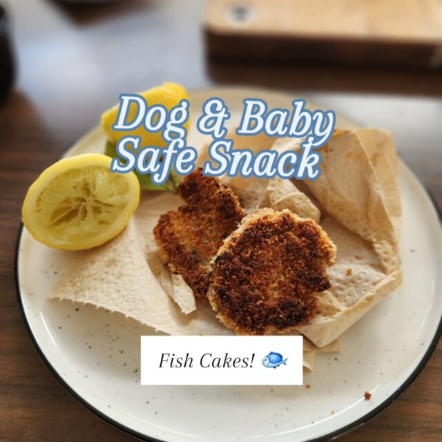 While making these for my son I couldn't help thinking about how my dog would have loved to share these with him 💙

They are high in good fats and starch heavy so just a little treat for doggies ☺️

If you want to make one batch these are totally fine for your dog to eat cooked and with breadcrumbs but I've given you the best dog friendly option too.

Let me know what your dog or baby thinks ☺️